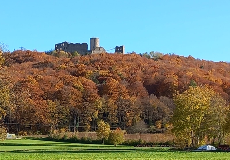 Blick auf den Wolfstein