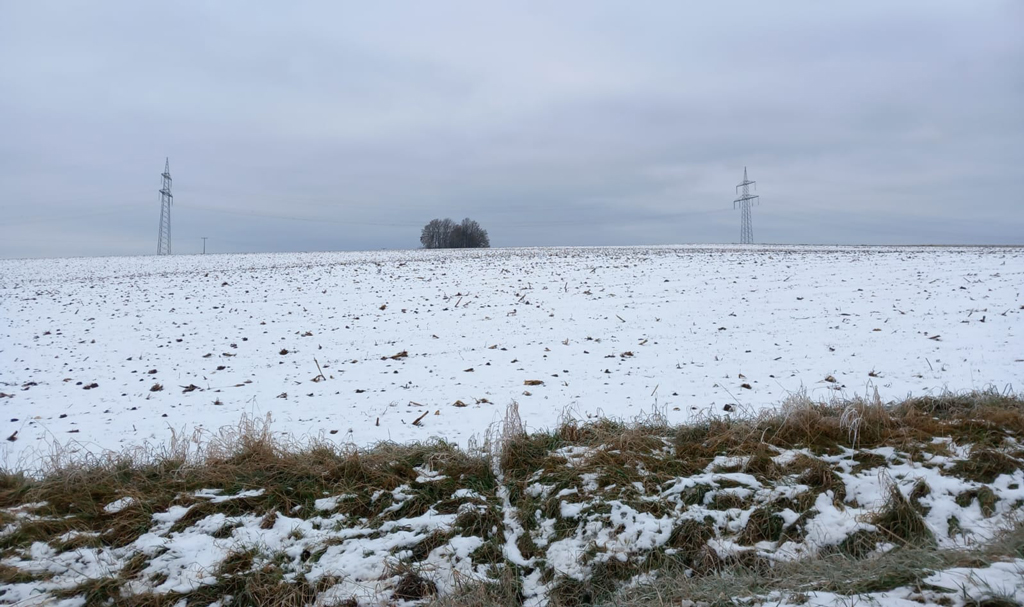 Schneebedecktes Land