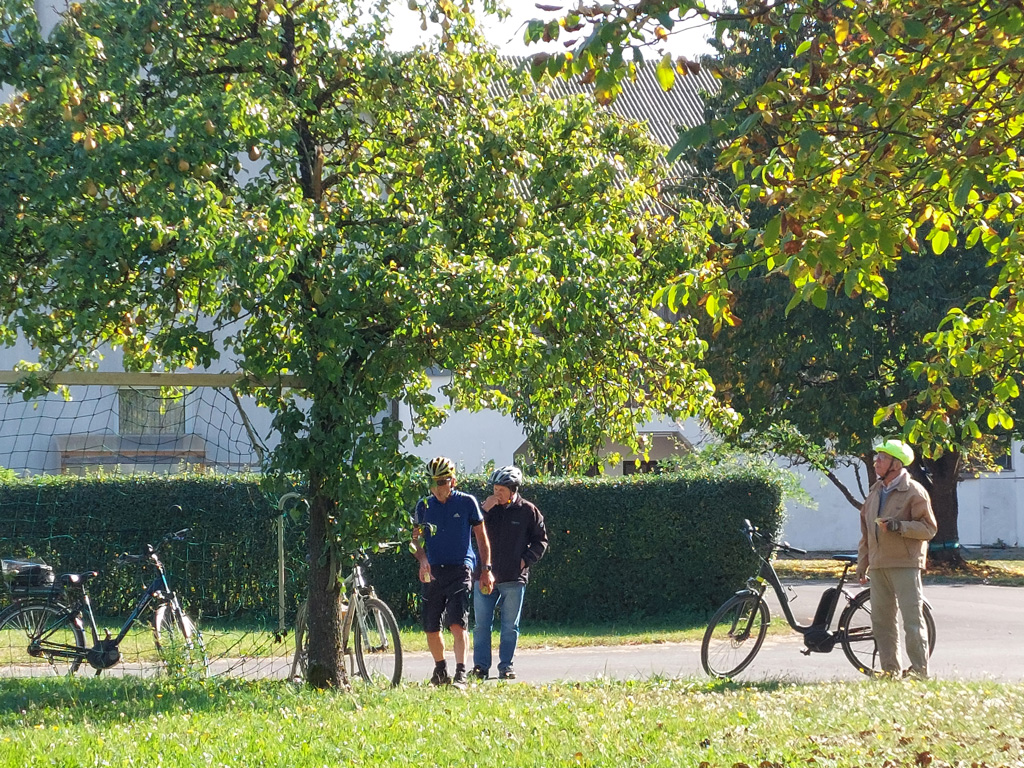echter grüner Baum
