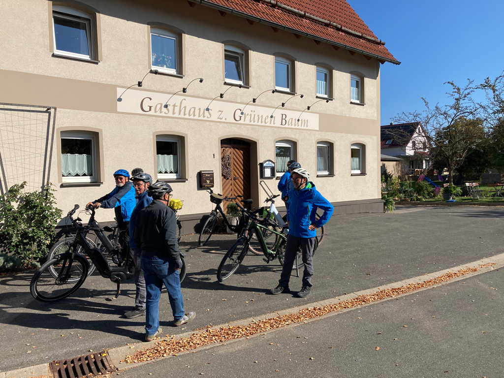Grüner Baum